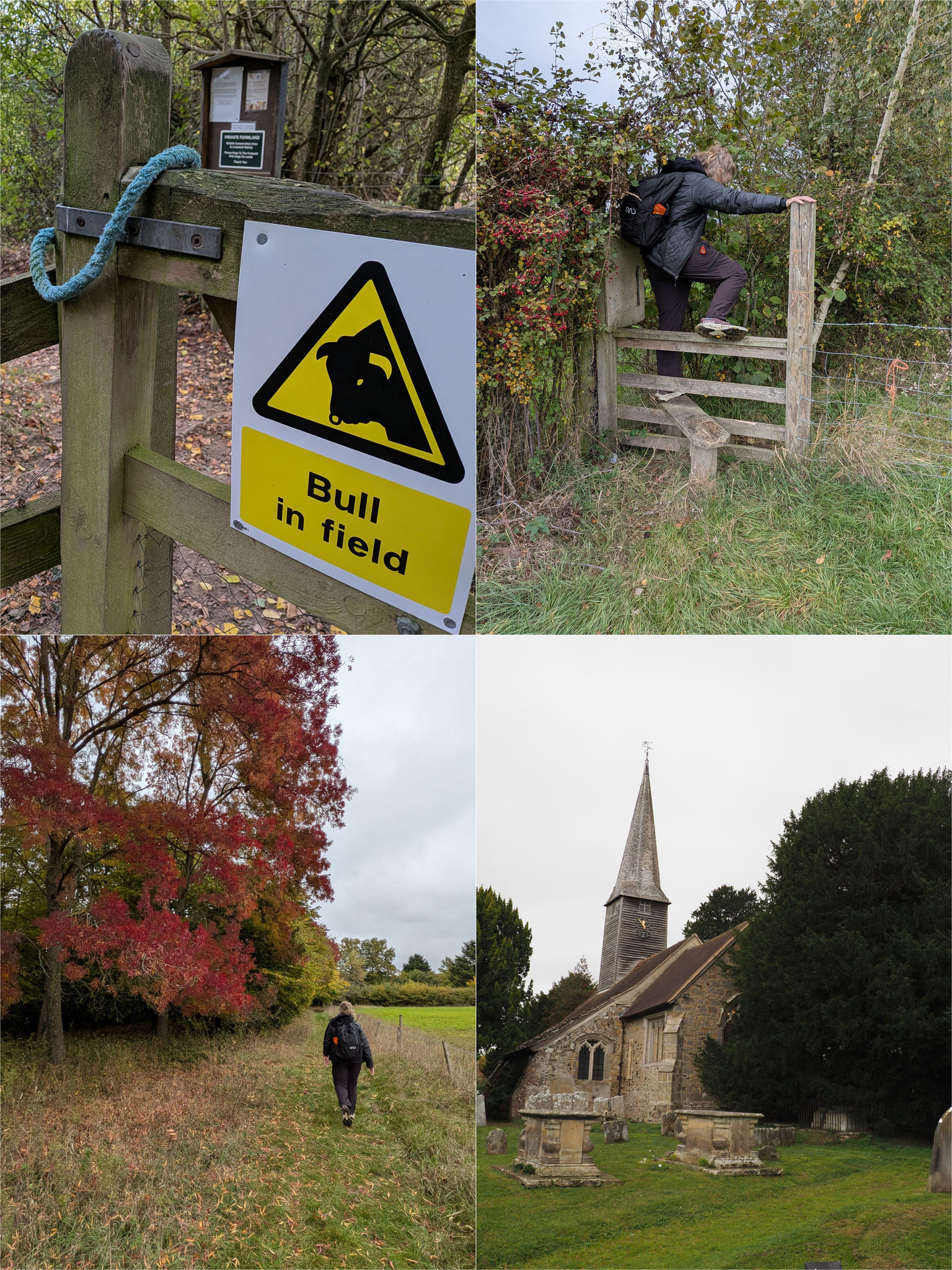  Lingfield to Crowhurst on the Age to Age footpath trail 