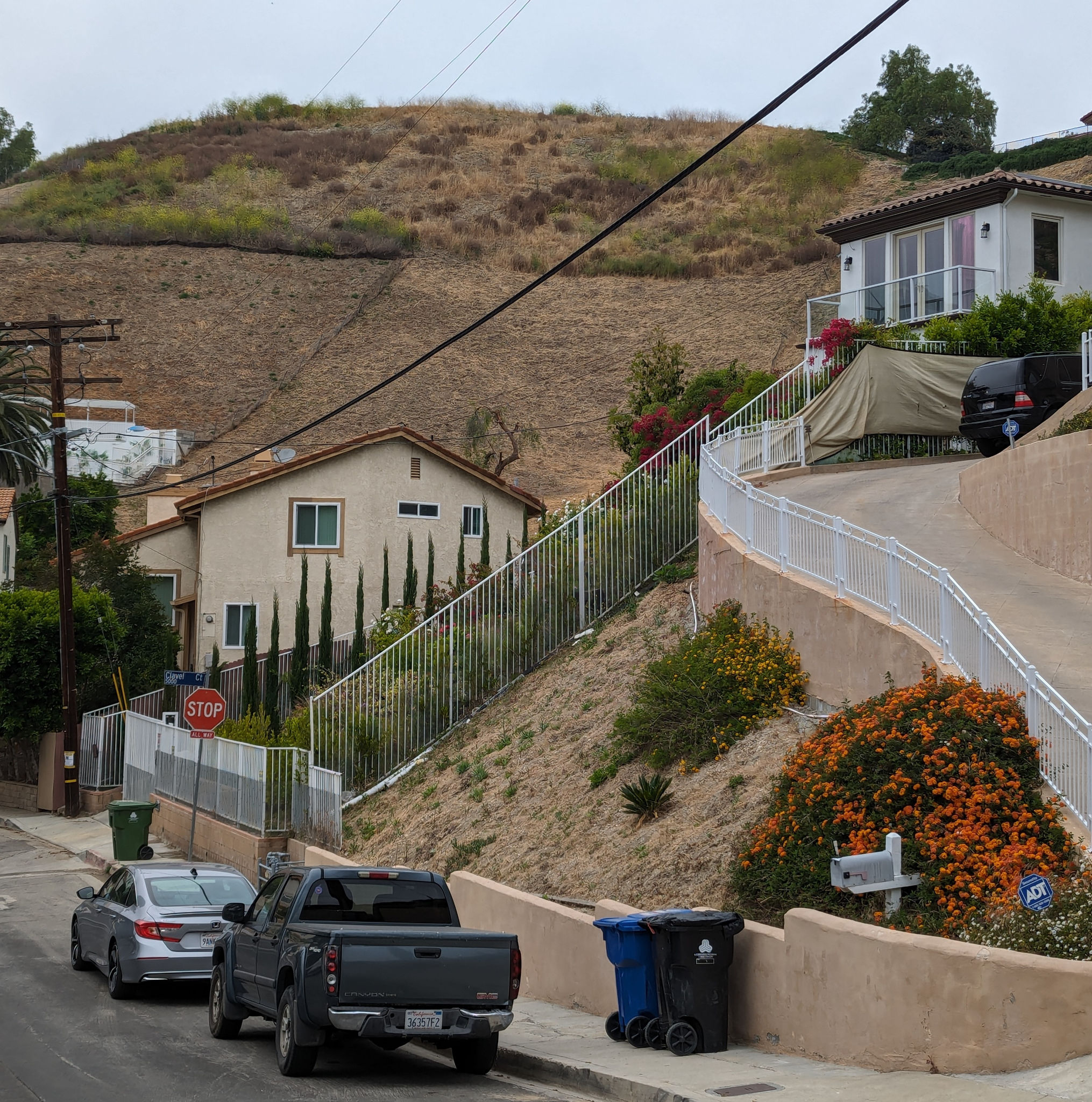  Los Angeles Brush Clearance - May 2024 