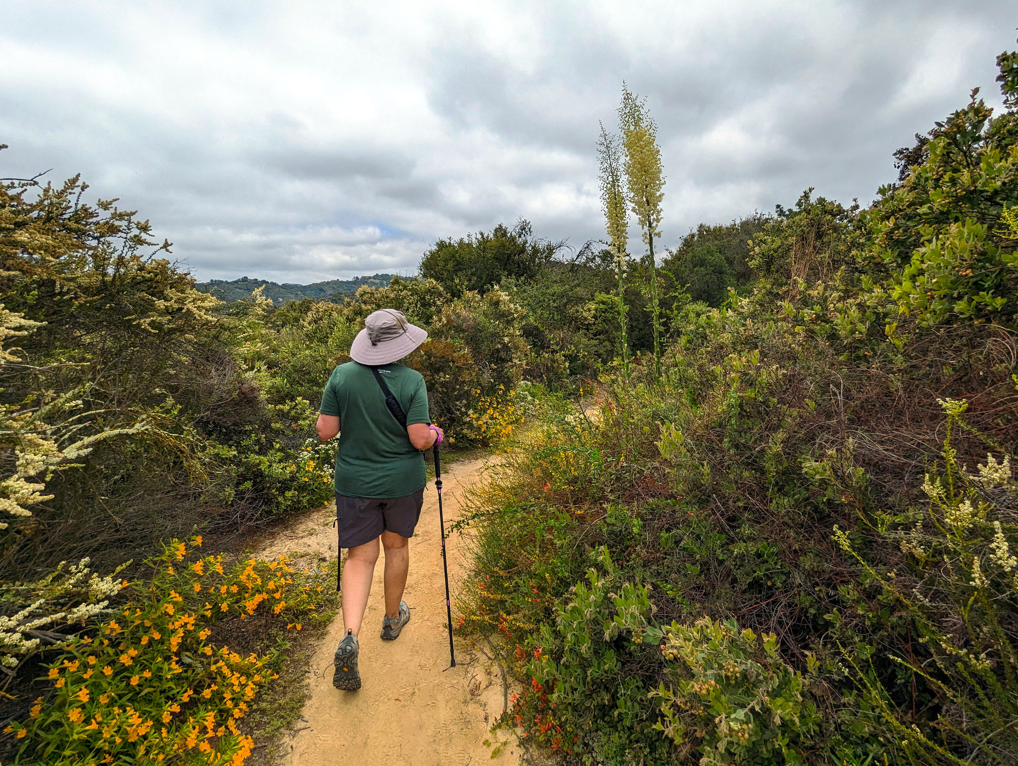  Dead Horse Trail - 9 June 2024 