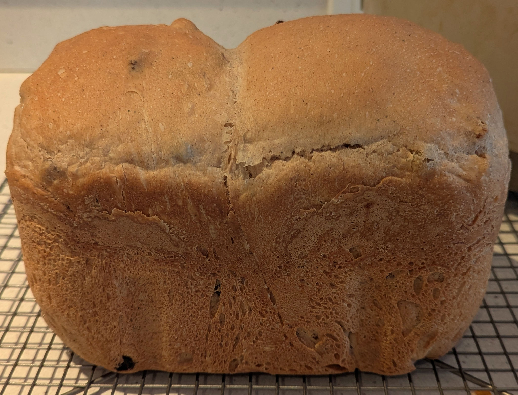  Bread machine raisin bread - February 2025 