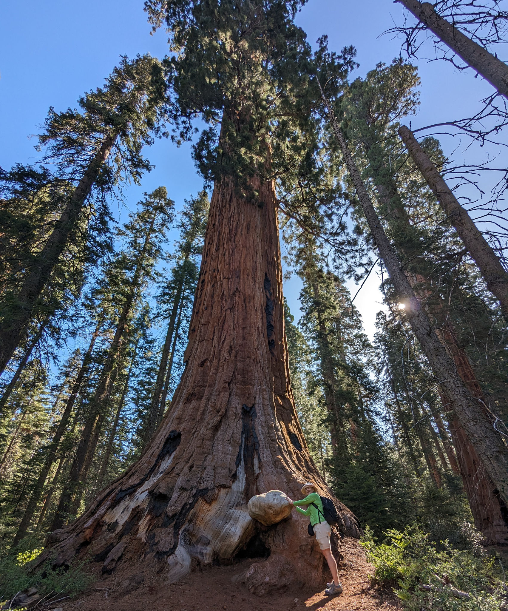  Alta Trail 