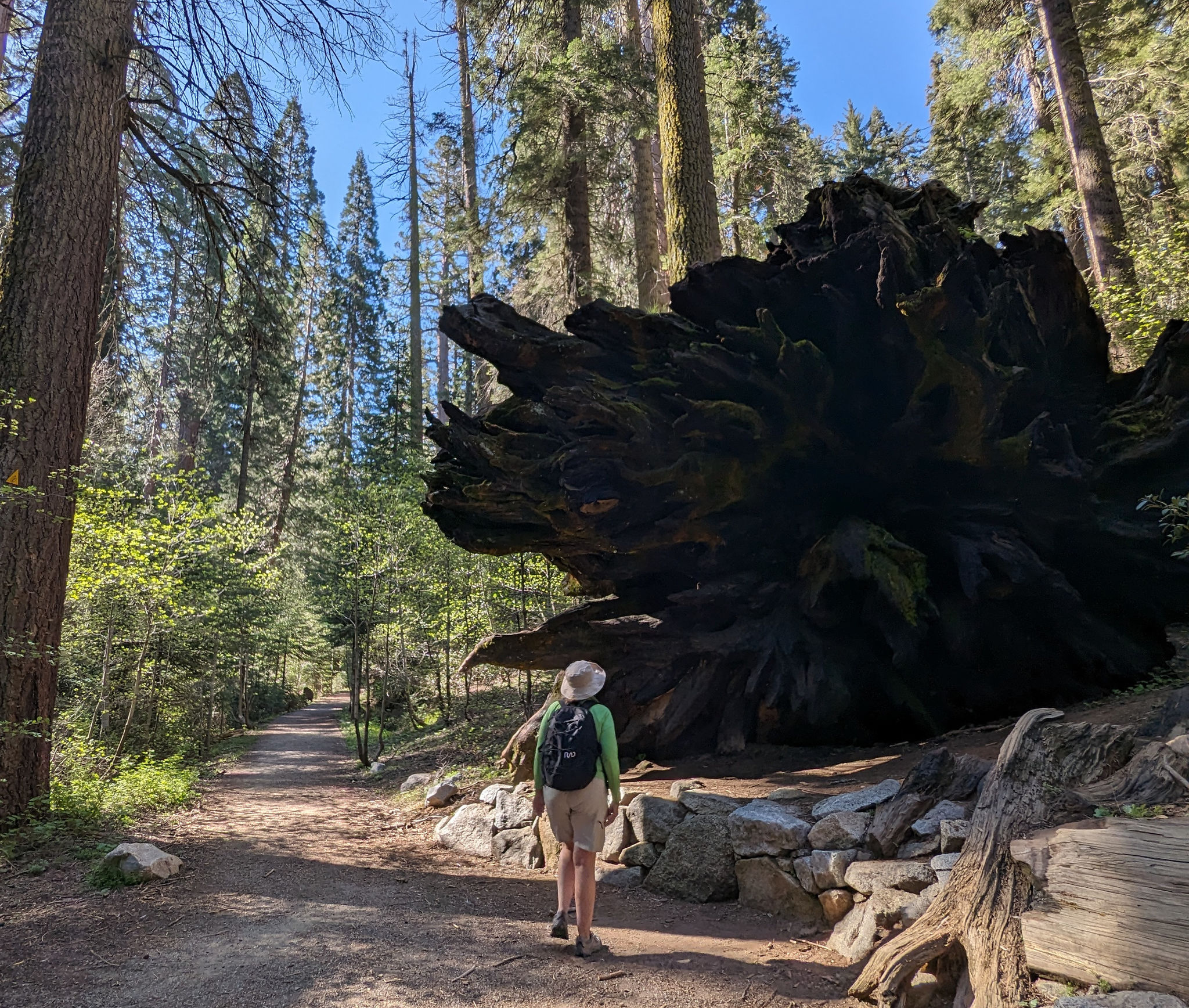  Alta Trail 