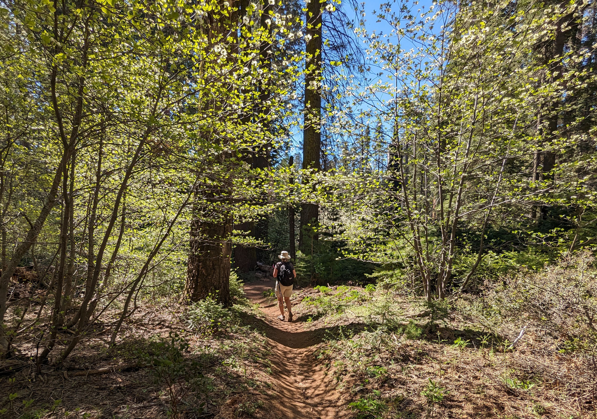  Soldier's Trail 