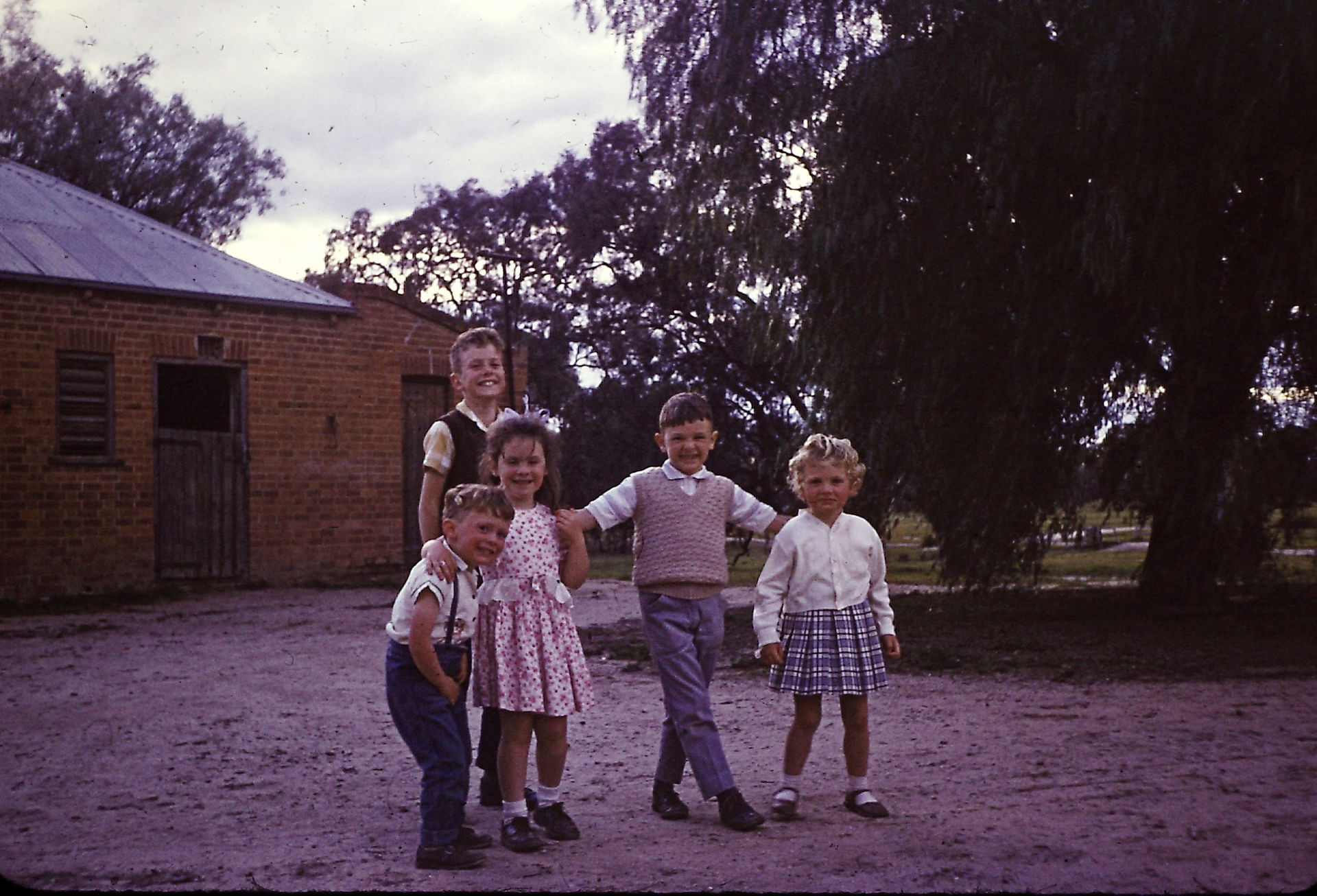Ellis cousins at Cropwell, NSW, about 1967. Stacey (me) front left,